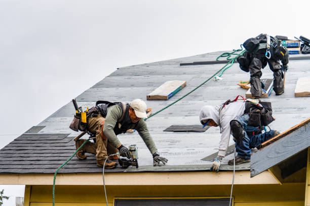 Professional Roof Inspection technician working in Coram, MT